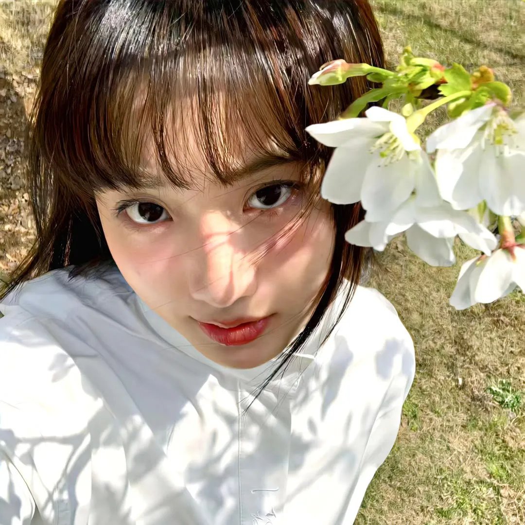 萌犬好声音2